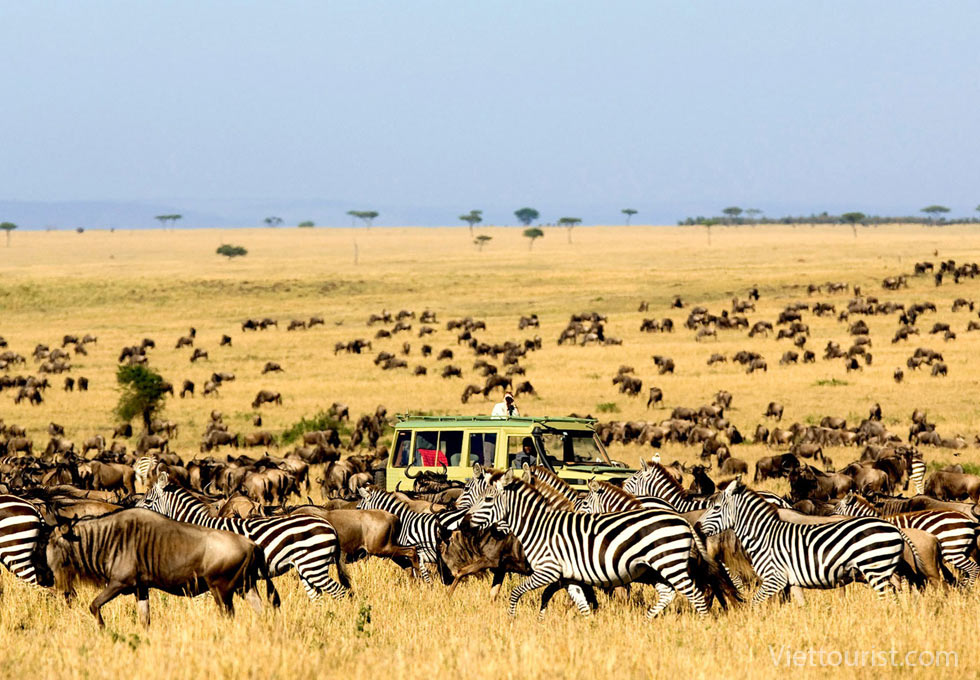 Du lịch Kenya